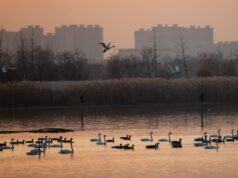 Ambiente, migliorano i parametri in Cina nel 2025