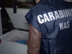 Macellazione clandestina a Salerno, sequestrati 6 quintali di carni