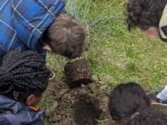Un Albero per il Futuro: riforestazione ed educazione ambientale a San Felice sul Panaro