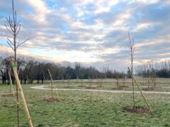 Mirandola accoglie il “Bosco della Vita” di ANT