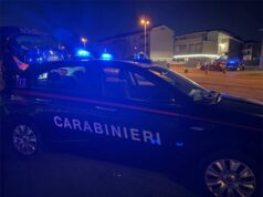A seguito di un furto in un’azienda di Concordia, i Carabinieri recuperano un autocarro e della refurtiva