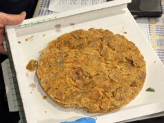 Un successo domenica scorsa la Sagra di Sant’Antonio a Casalgrande