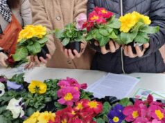 Il CAV di Sassuolo: oltre trent’anni a servizio della vita