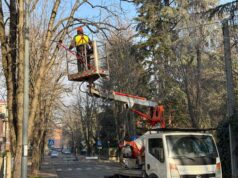 Iniziati a Sassuolo gli interventi di potatura