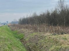 Intervento di manutenzione idraulica in via Agnini a Mirandola: chiarimenti sulle operazioni in corso