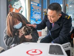 Cina, gli animali domestici adesso possono viaggiare sui treni ad alta velocità