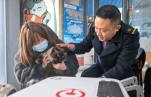 Cina, gli animali domestici adesso possono viaggiare sui treni ad alta velocità
