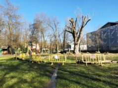 A Correggio nasce l’Albero Habitat: sicurezza e biodiversità si incontrano nel verde urbano