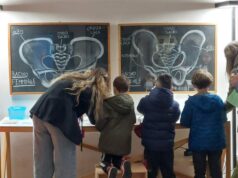 Domenica ai Musei civici di Reggio Emilia ritorna il “Darwin Day”