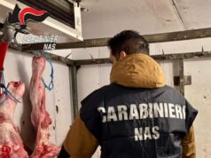 Sequestrati 27 kg di carne irregolare in una macelleria della Bassa modenese