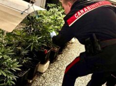 I Carabinieri di Pianoro scoprono un laboratorio per la produzione in casa di stupefacenti