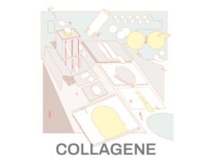 Dal 20 febbraio al 22 maggio, COLLAGENE, la rassegna multidisciplinare a cura di DAS