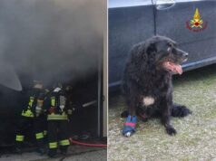Incendio distrugge una carrozzeria a Novellara. Salvato un cane