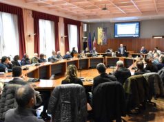 Peste Suina Africana: incontro in provincia a Modena