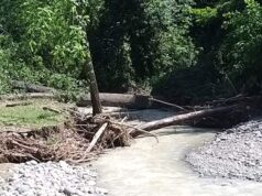 Rinnovata per il 2026 l’autorizzazione alla raccolta manuale di legname a uso privato nei corsi d’acqua dell’Emilia-Romagna