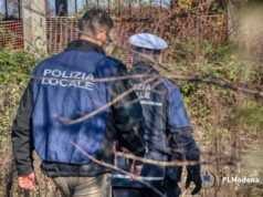 Polizia locale, cinque cani trasferiti al canile dopo i controlli in un alloggio degradato