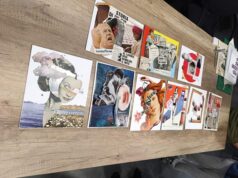 Inaugura domenica 8 marzo alla Sala Espositiva ‘Gino Strada’ di Casalgrande la mostra collettiva ‘E tu, che donna sei?’