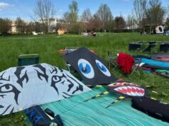 Il cielo di Novellara si riempie di colori con la Festa degli Aquiloni