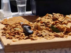 A Casina torna la Festa del Cicciolo, evento simbolo della primavera: domenica 29 marzo la 9ª edizione