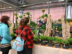 WOW! Modena diverte tutti, dai bambini ai meno giovani