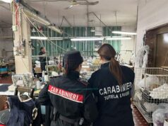 I Carabinieri del Nucleo Ispettorato del Lavoro scoprono lavoro “nero” e irregolarità a Novi di Modena