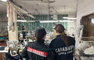 I Carabinieri del Nucleo Ispettorato del Lavoro scoprono lavoro “nero” e irregolarità a Novi di Modena