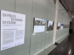 Ville, giardini storici, paesaggi modellati dall’agricoltura e dall’uomo: a Bologna apre la mostra ‘Di felci di faggi di dune’