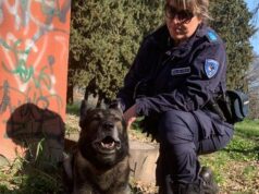 Sicurezza urbana, il fiuto del cane Grey scova a Bologna 33 involucri di cocaina in due giorni