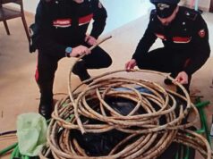 Modena: 23enne arrestato perché trovato in possesso di droga, materiale esplosivo rudimentale e rame