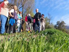 Giovedì 9 aprile la quarta “Camminata ai tulipani di Matteo”