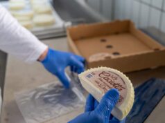 Nasce il caseificio del carcere della Dozza di Bologna