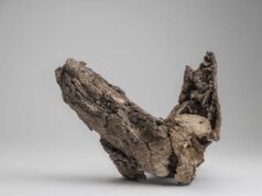 Stambecchi e cambiamento climatico: nuovi dati dall’archeologia preistorica