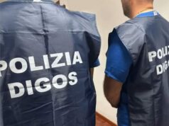 Modena, aggressione a uno steward: denunce e D.A.S.P.O. per 3 tifosi del Palermo