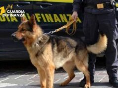 I finanzieri del Comando Provinciale di Parma hanno ricostruito un traffico di almeno 60 kg di cocaina
