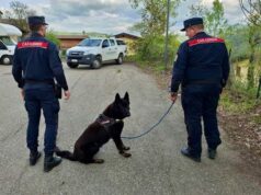 Allarme esche avvelenate in un parcheggio di Villa Minozzo