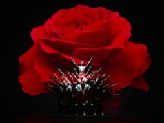 Il debutto dei Momix al Teatro Celebrazioni con la prima assoluta di Botanica – Season 2