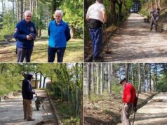 Castelnovo Monti: pulizia straordinaria alla Pineta di Monte Bagnolo