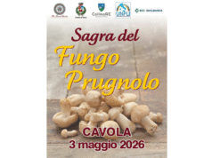 Sagra del fungo prugnolo, domenica 3 maggio a Cavola di Toano