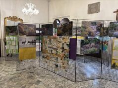 Inaugurata a Vergato la mostra “Un lupo per amico”
