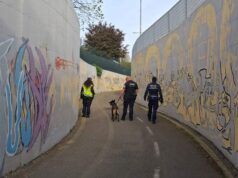 Sicurezza, A Formigine controlli con l’Unità cinofila di System Sicurezza