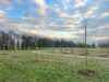 Nasce a Mirandola il “Bosco della vita”: memoria, natura e comunità in un unico progetto