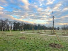 Nasce a Mirandola il “Bosco della vita”: memoria, natura e comunità in un unico progetto