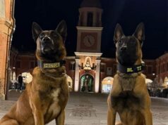 Sassuolo: giovane denunciato per spaccio al parco Tassi