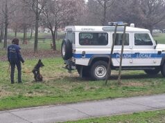 Hashish e cocaina sequestrati a Modena grazie al fiuto del cane antidroga della Polizia locale