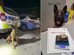 Nei giorni scorsi, Polizia di Stato e Polizia locale hanno effettuato controlli congiunti presso un esercizio pubblico sassolese