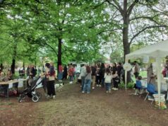 Cavriago, torna la Festa delle Api al Parco del Cerchio