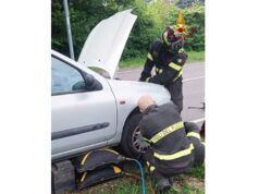 Reggio Emilia, gatto incastrato nel vano motore di un’auto liberato dai Vigili del fuoco