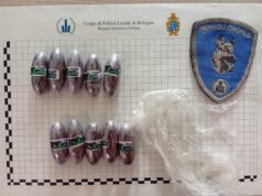 185 grammi di sostanze stupefacenti sequestrate dal nucleo cinofili della Polizia Locale di Bologna