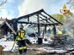 Cane muore nell’incendio di una legnaia in via Spaggiari a Reggio Emilia