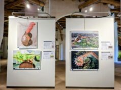 La mostra fotografica sulla Biodiversità di Unimore esposta al Barchessone Vecchio nelle Valli Mirandolesi